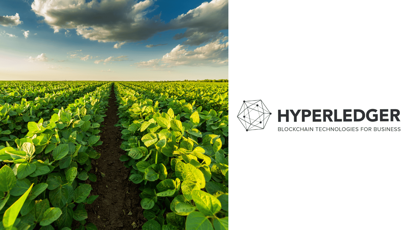 Transforming Agriculture with Hyperledger